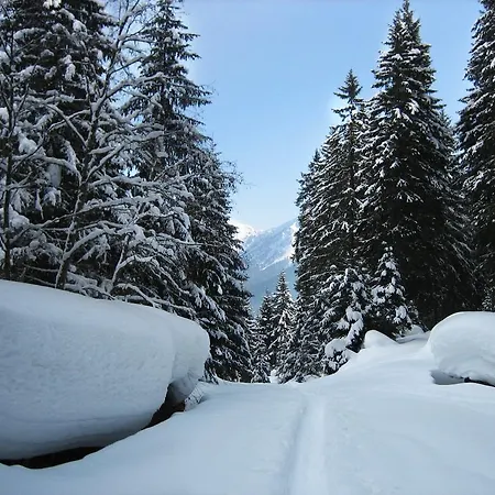 Appartamento Haus Grugger *