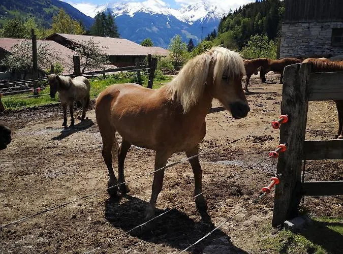 Haus Grugger Appartamento *