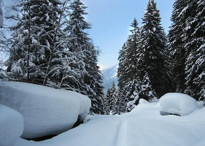 Appartamento Haus Grugger *